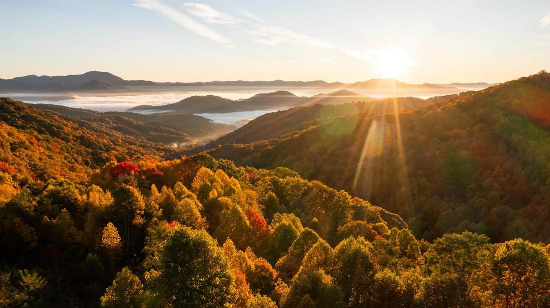Elk & Embers Mountain Hideaway Hotell Waynesville Exteriör bild