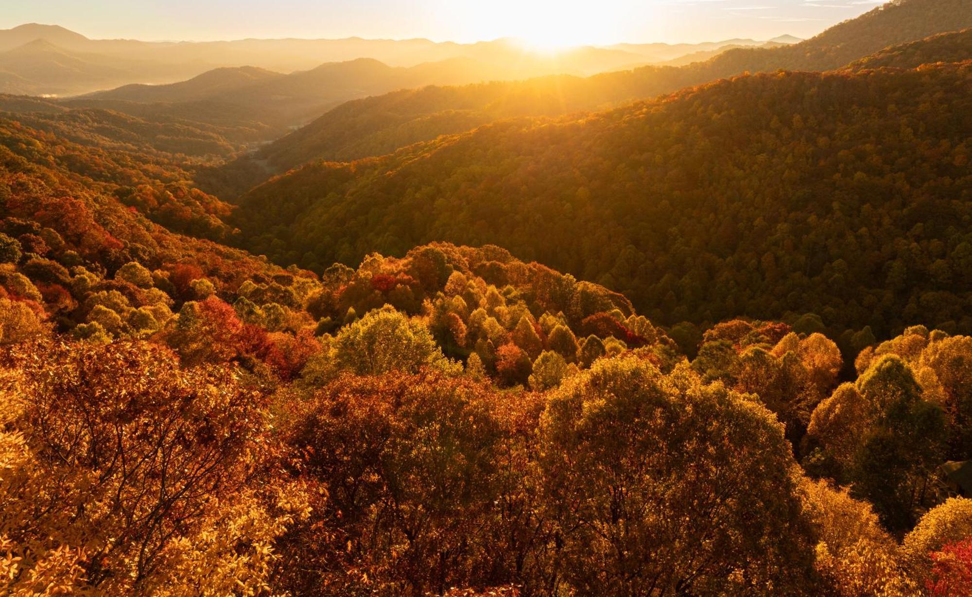 Elk & Embers Mountain Hideaway Hotell Waynesville Exteriör bild