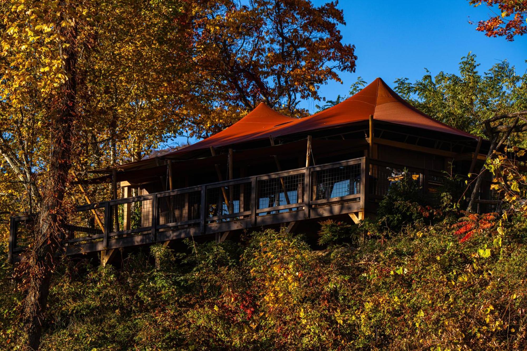 Elk & Embers Mountain Hideaway Hotell Waynesville Exteriör bild